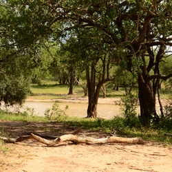 2015-05 South Africa/iMfolozi/DSC_0301.JPG